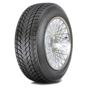 Landsail 195/65R15 91H Winter Lander Passenger Tires | 6900532970229