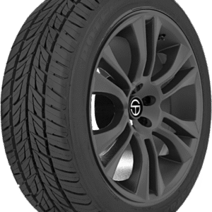 Bridgestone Potenza G019 Grid 255/40R19 100Y All Season Passenger Tires | 015085