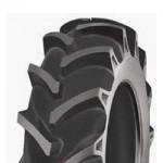 Deestone D312 11.2-24 113A8 Farm Tires | DS8810