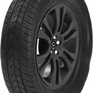 Dunlop SP 31 175/65R14 81S All Season Passenger Tires | 265024566