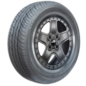 Nika Avatar 205/65R16 95H All Season Passenger Tires | N34430