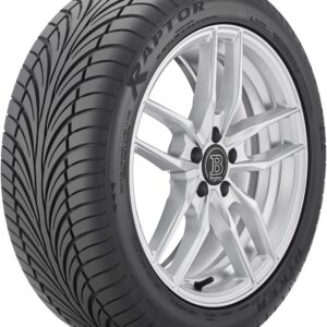 Riken Raptor ZR A/S 225/45ZR18 XL 95W Ultra High Performance All-Season Tire 194479