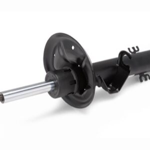 SACHS Strut 315 251